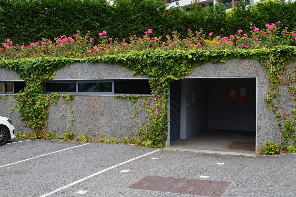 Peaceful Apartment Funchal  Buitenkant foto